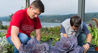 Photo of students gardening